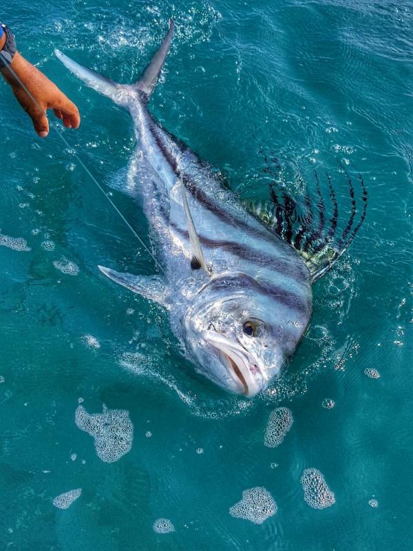 Satellite Tracker Used to Mark Floating FAD Buoy - Fishing it Again Today -  The Zancudo Lodge, Costa Rica