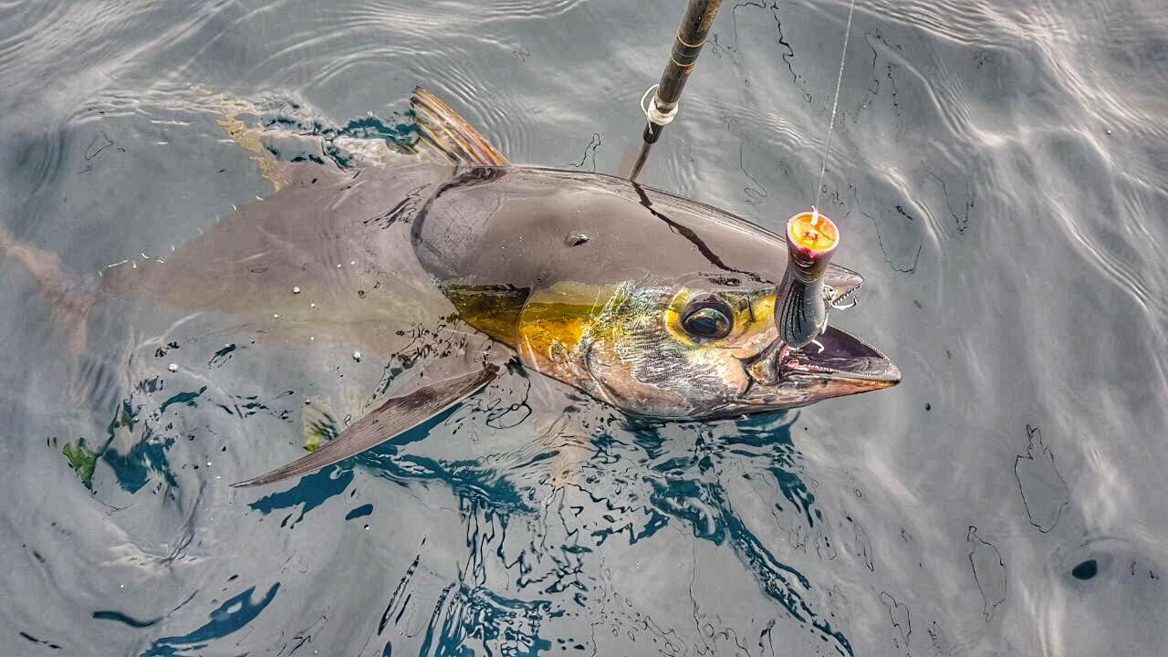 Fishing in Costa Rica set to get EVEN better as government