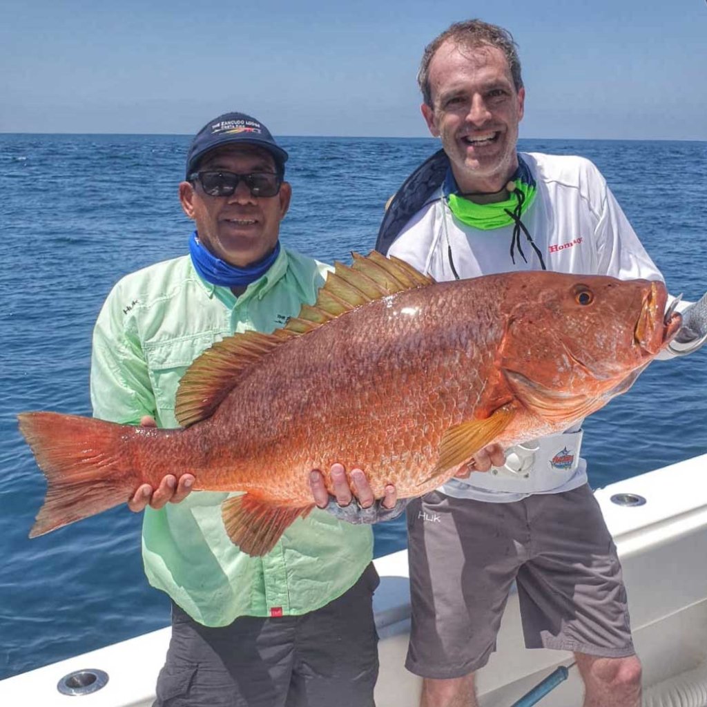 Snapper Fishing