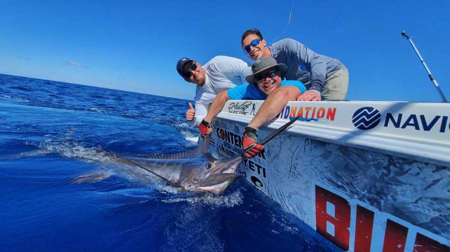 Blue Marlin release at Zancudo Lodge