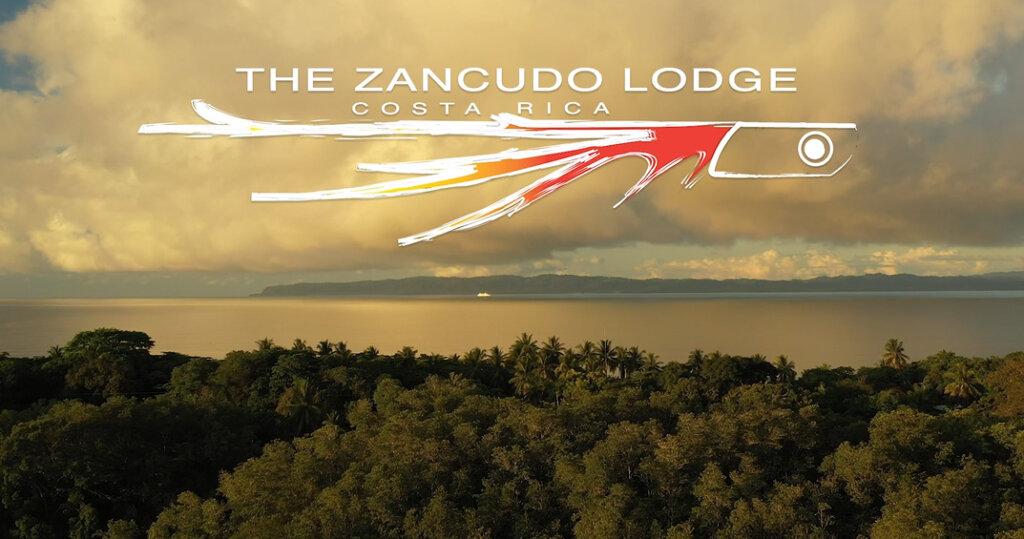 The Last Sailfish Release of 2020 - The Zancudo Lodge, Costa Rica