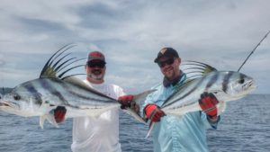 double roosterfish hookup