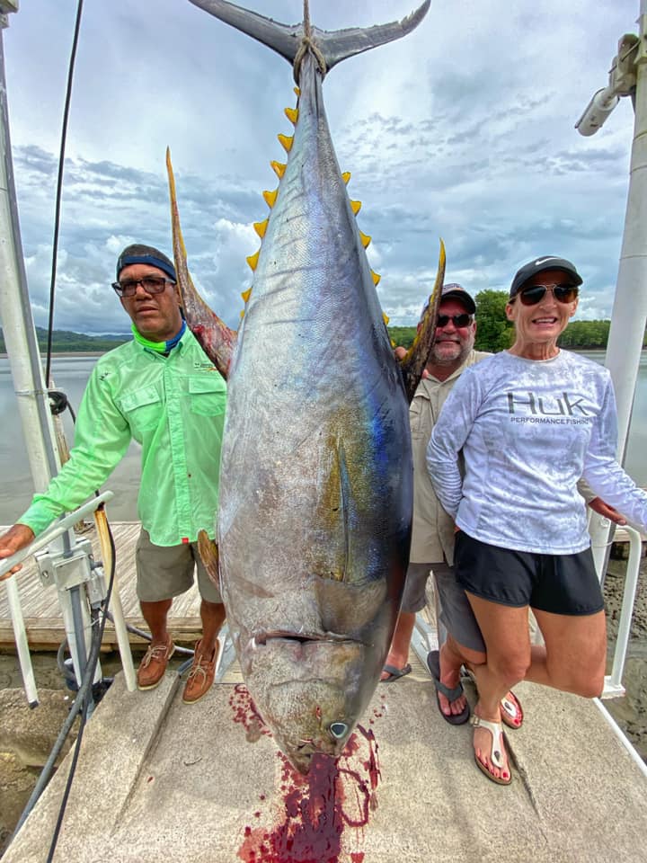 Giant Yellowfin Tuna