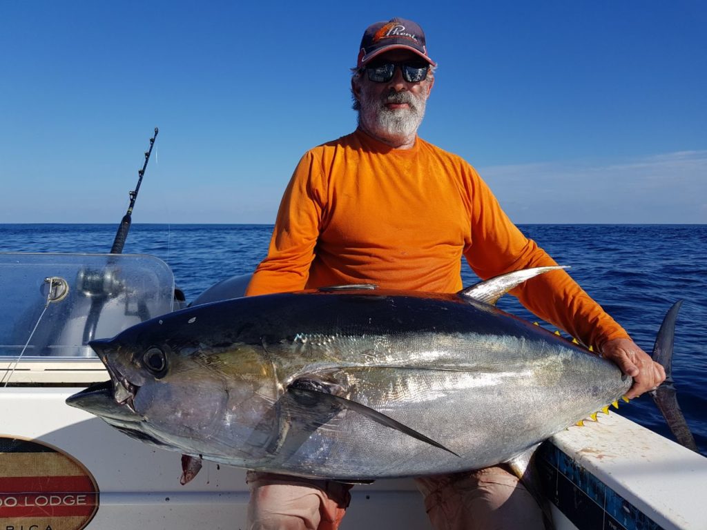 BIG TUNA caught from the beach drone fishing 