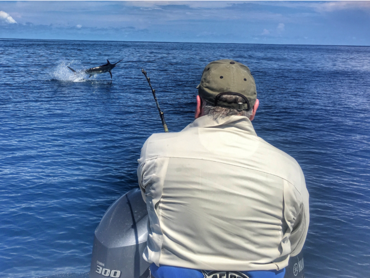 fish on - over the shoulder view of marlin hookup