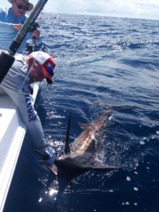 holding marlin by side of boat