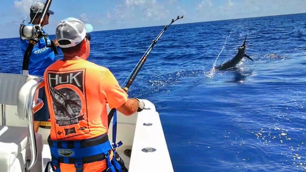 marlin fight over the anglers shoulder