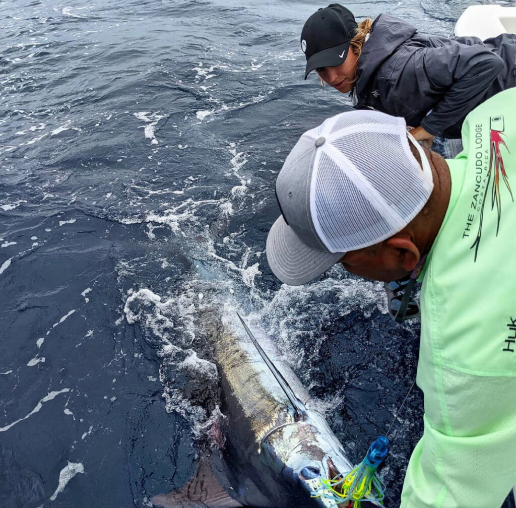 billfish tagging in Costa Rica