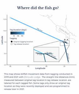 sailfish and marlin tagging map