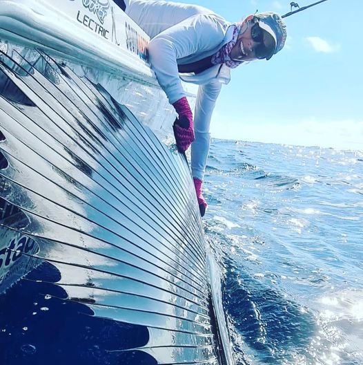 sailfish in costa rica