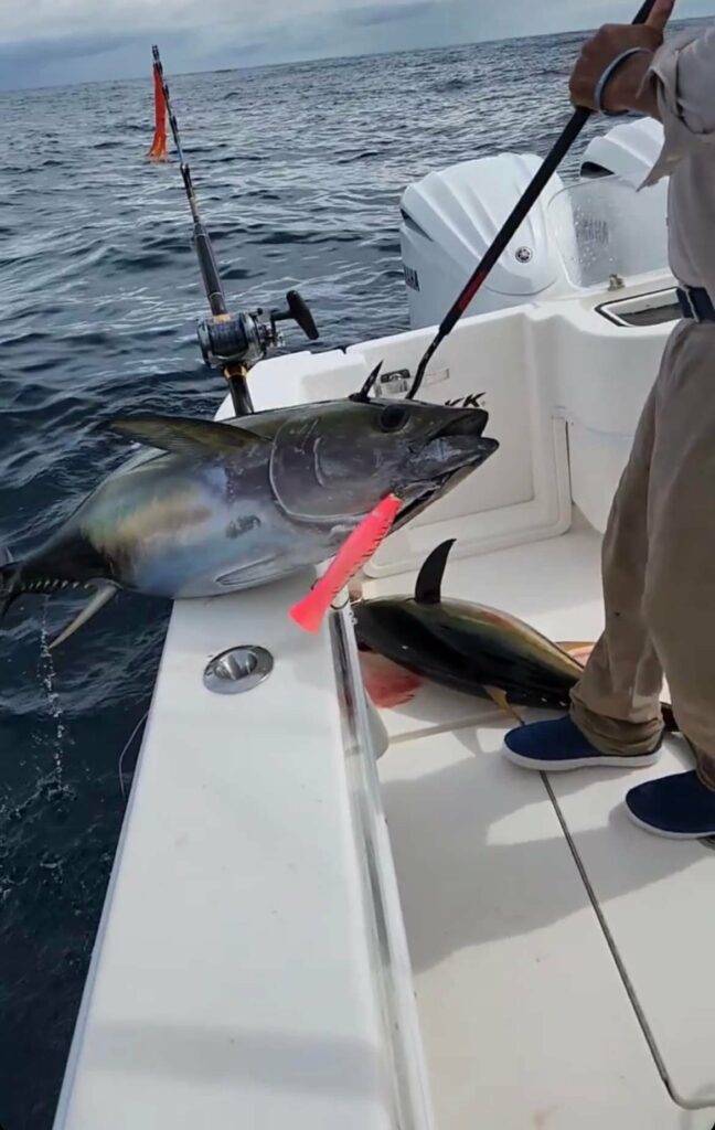 Tuna on the poper in Costa Rica