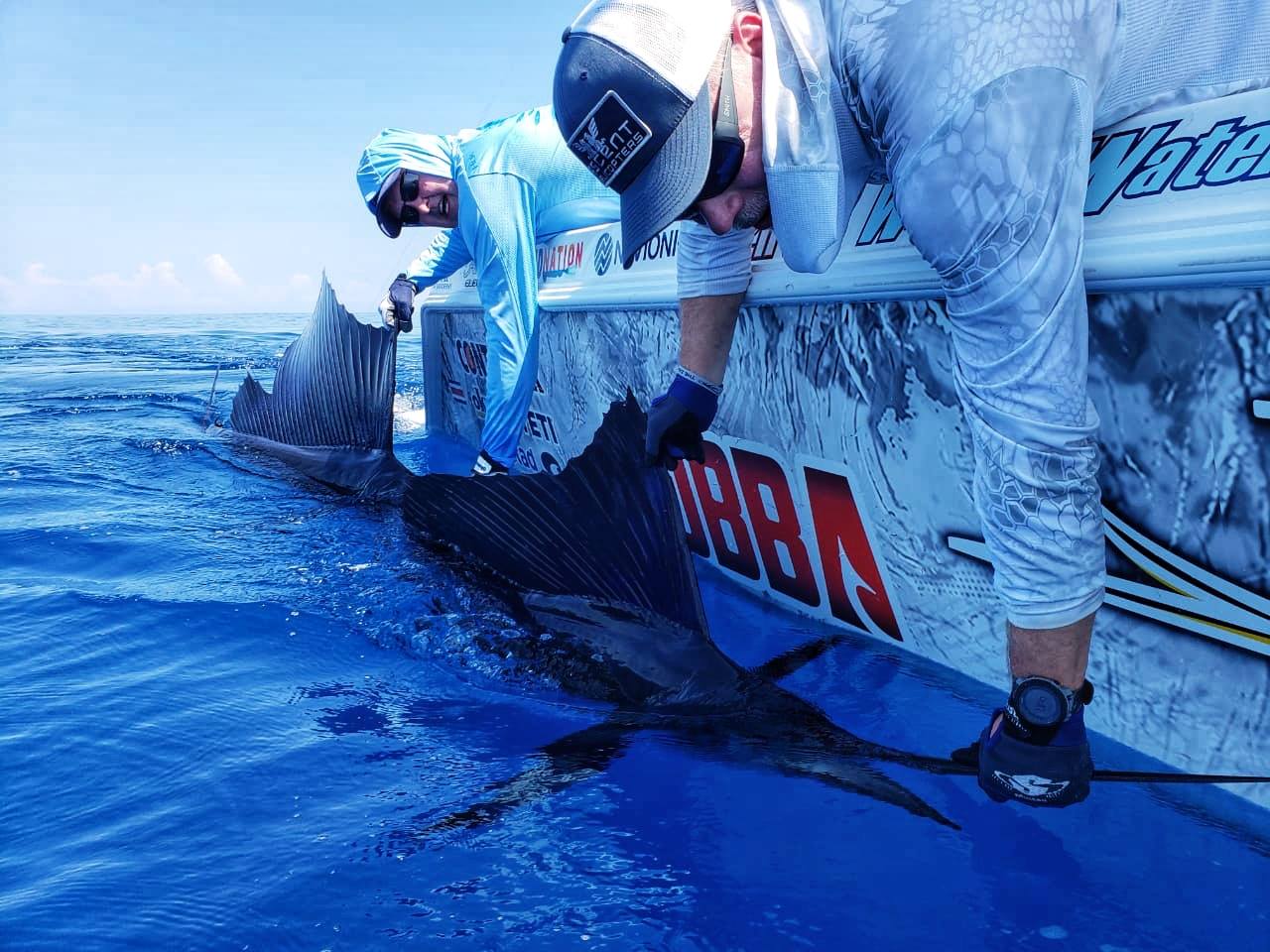 sailfish on the line also pictured: a really cool Go Fish Costa