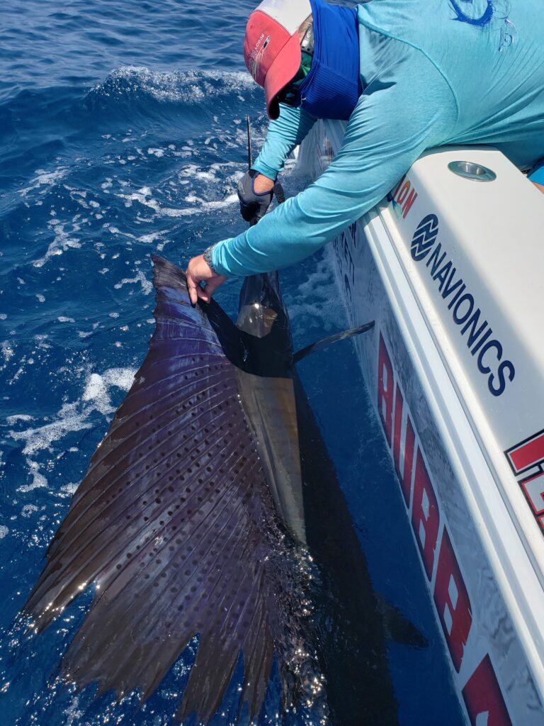 Catching a sailfish in Southern Costa Rica