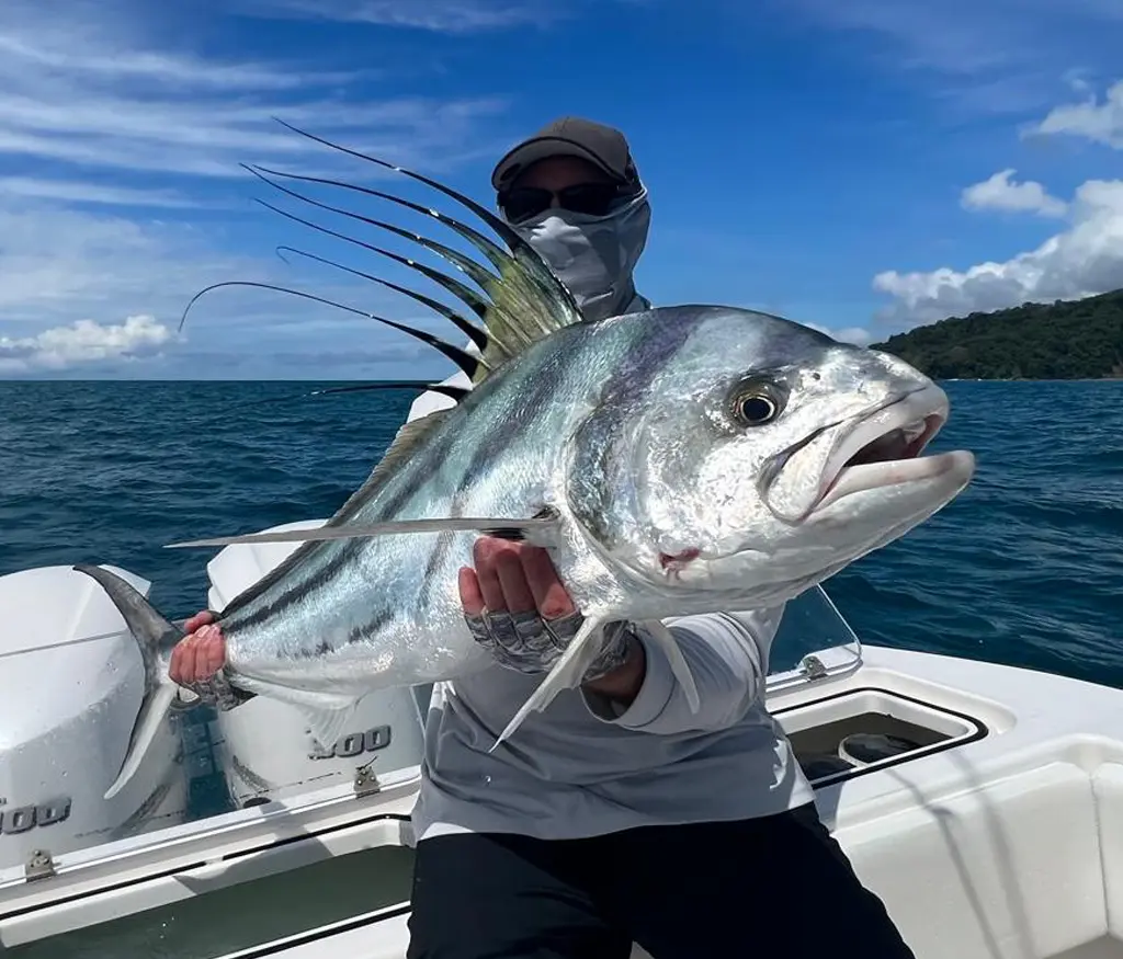 inshore fishing roosterfish