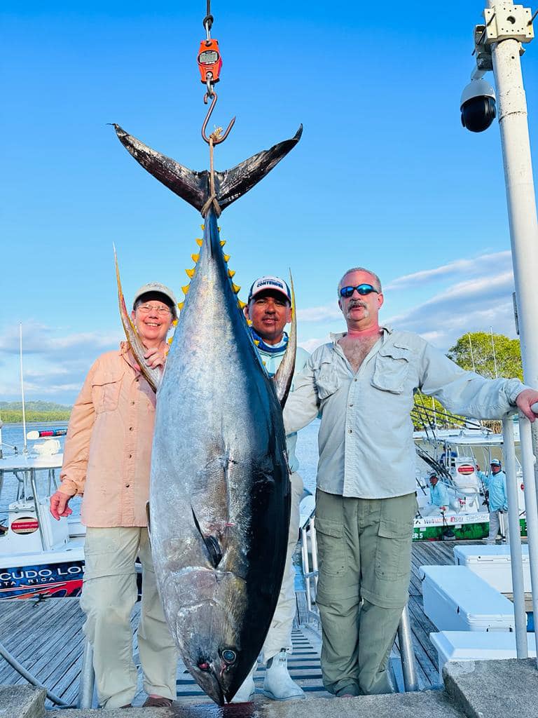 210lbs yellowfin tuna on the dock