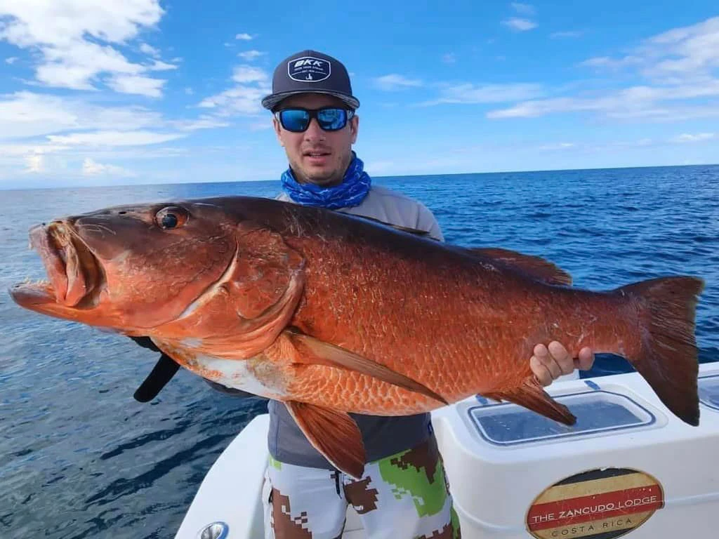 cubera snapper on boat