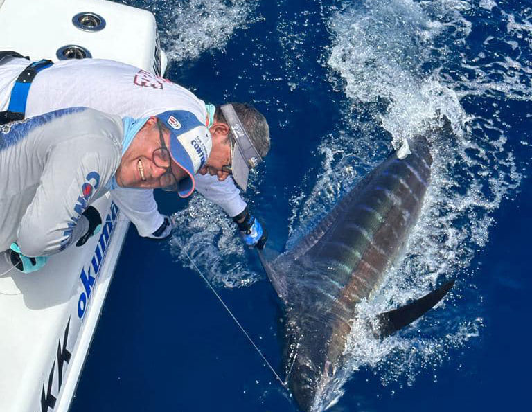 Marlin, sailfish, dorado and tuna this week