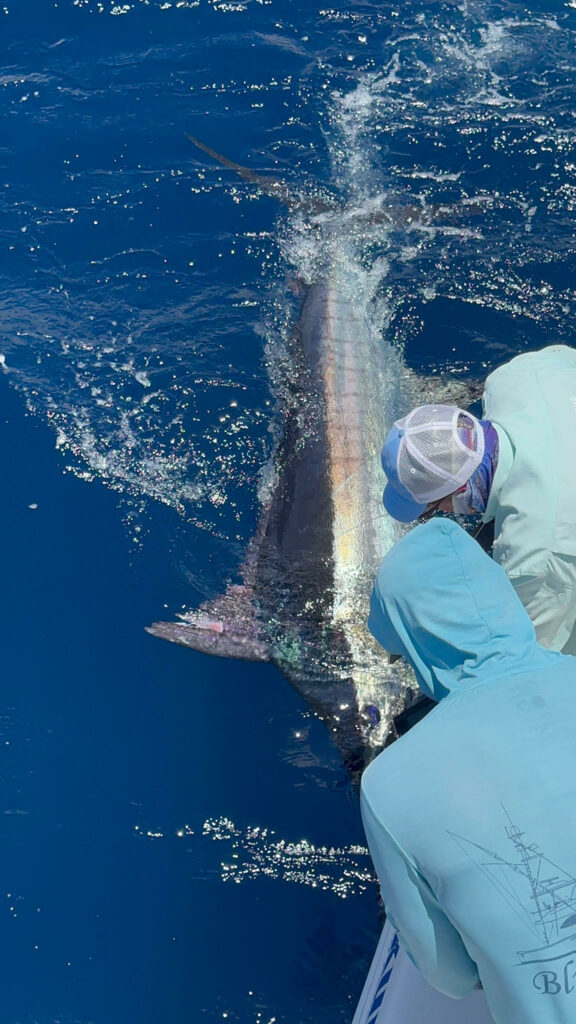 In the Black: After 14 years angler finally scratches Black Marlin off the  bucket list! - The Zancudo Lodge, Costa Rica