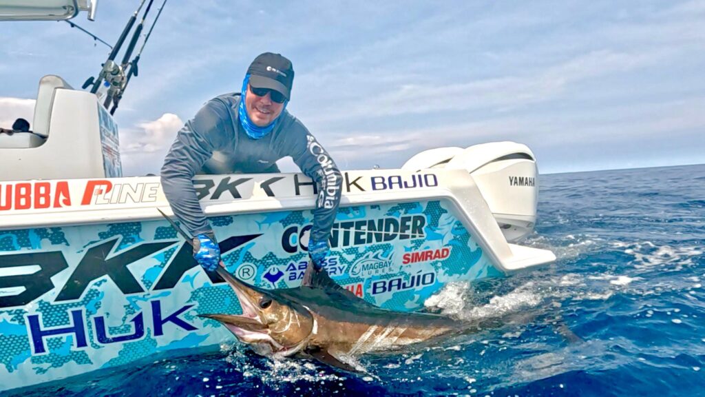 Blue marlin at the side of Contender boat